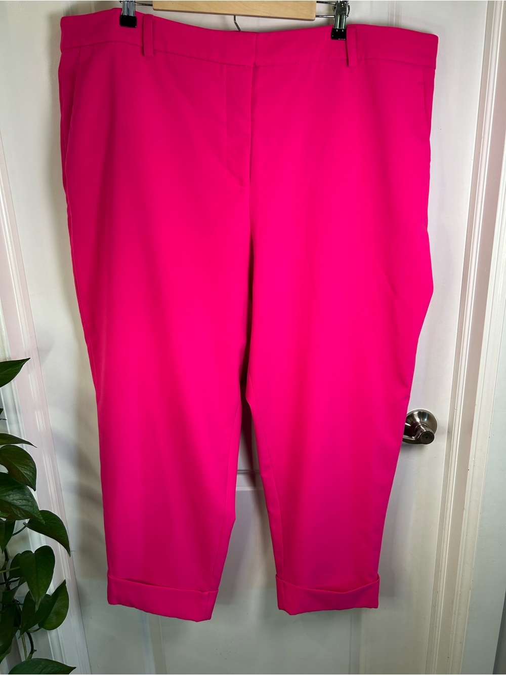 Vince Camuto Hot Pink Slim Leg Cuffed Ankle Trousers 22W